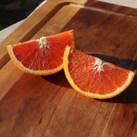 Thumbnail for Cara Cara Orange Slices. Fruit Trees Sold by Paradise Nursery