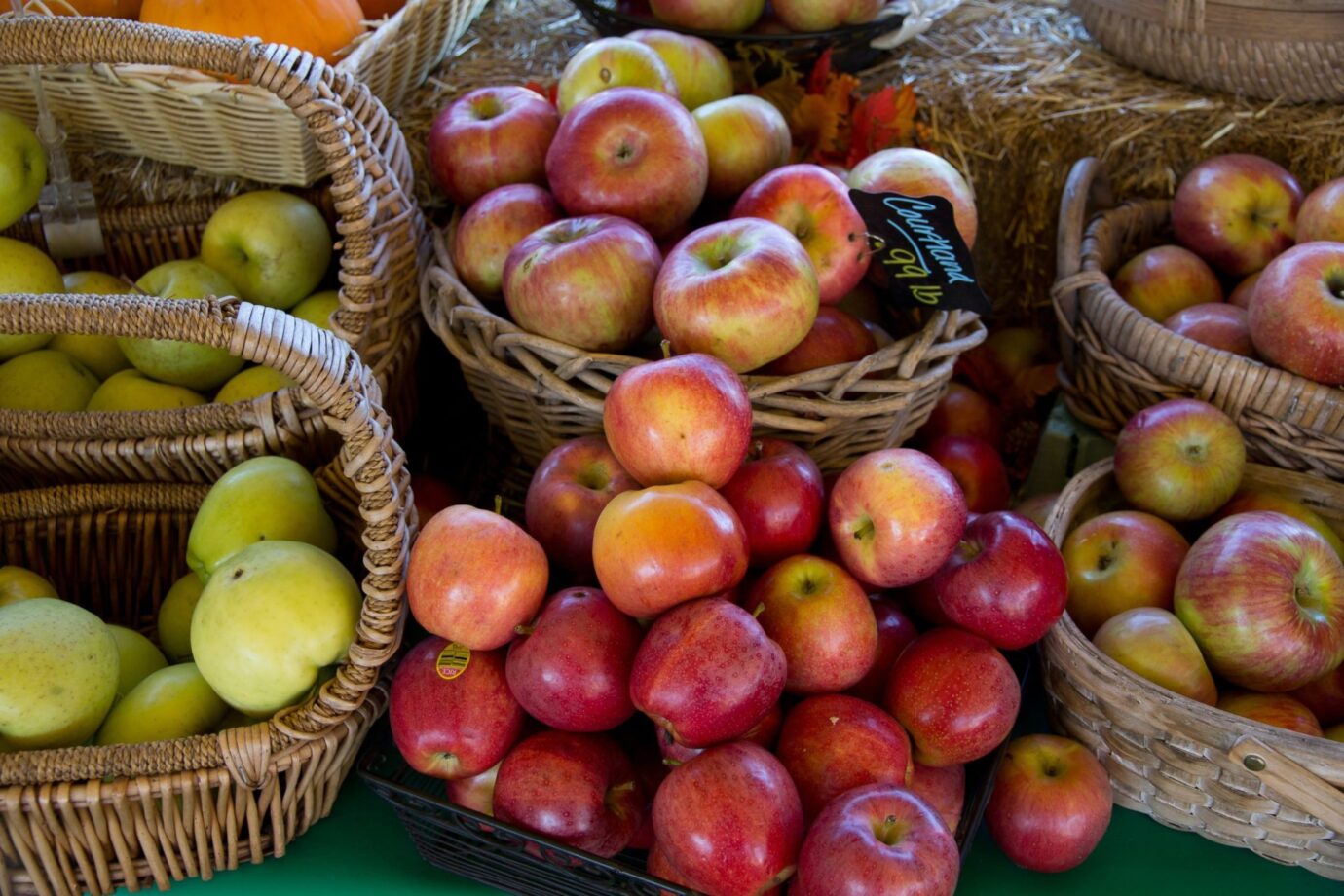 6 Apple Varieties You Can Grow In Your Backyard