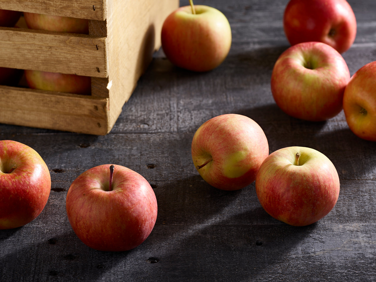 Fuji Apple Tree