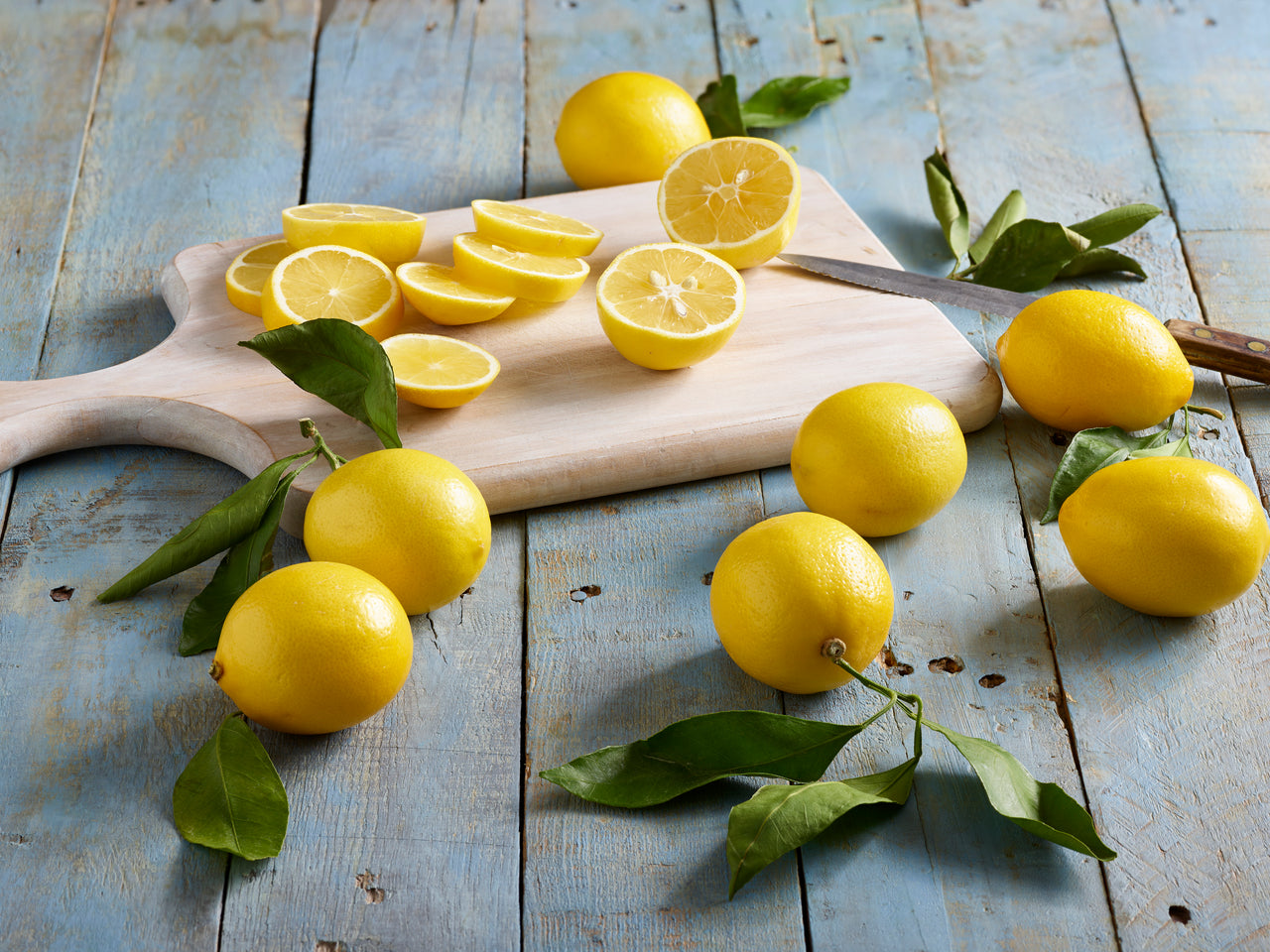 Meyer Lemon Tree