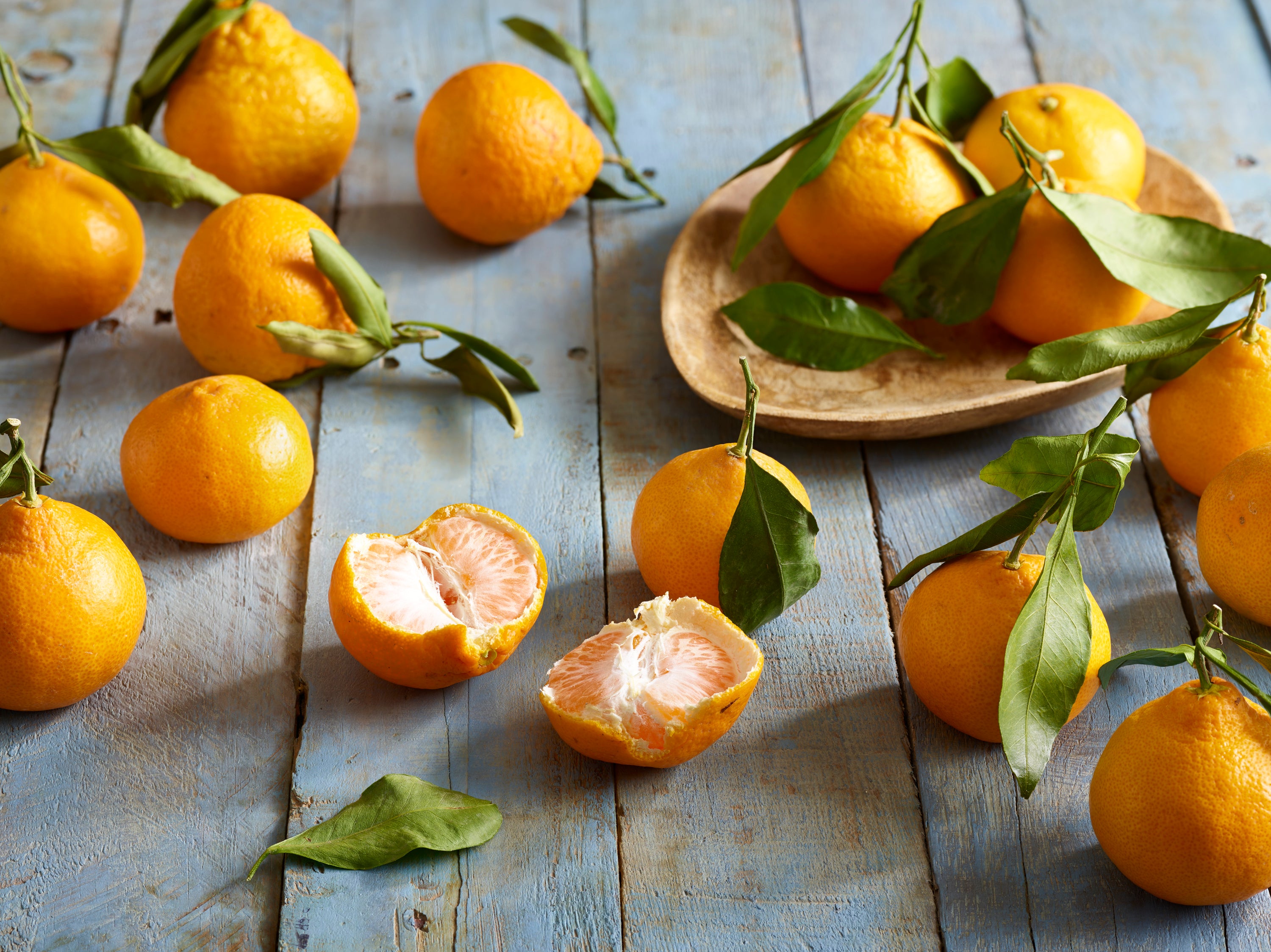 satsuma Satsuma Mandarin Tree Owari - Paradise Nursery