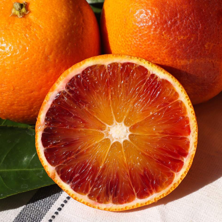 Moro-Blood-Orange