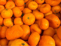 Thumbnail for Kishu Mini Mandarin