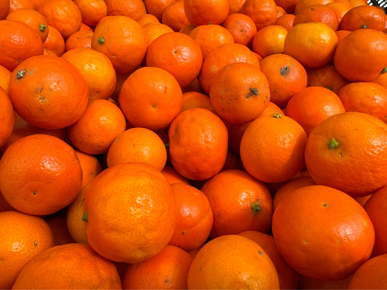 Page Mandarins