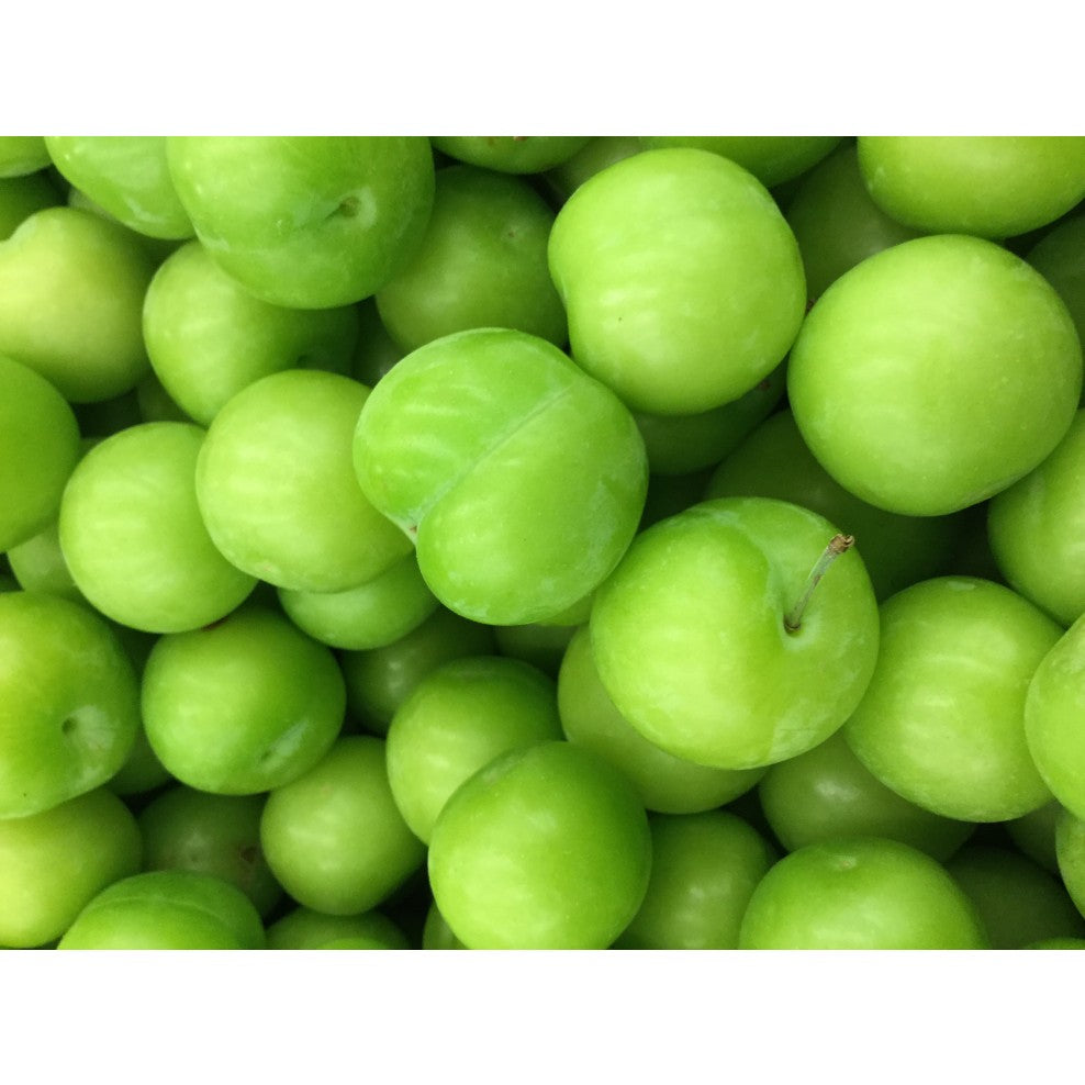 persian plum tree sour fruits