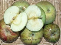 Thumbnail for Beverly Hills Apple Tree