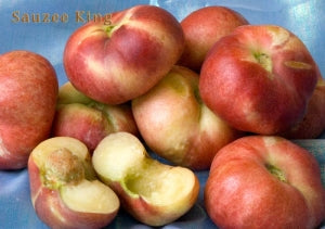 Sauzee King Nectarine Tree - Paradise Nursery
