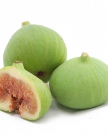 Italian Genoa Fig