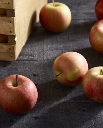 Fuji Apple fruits from tree