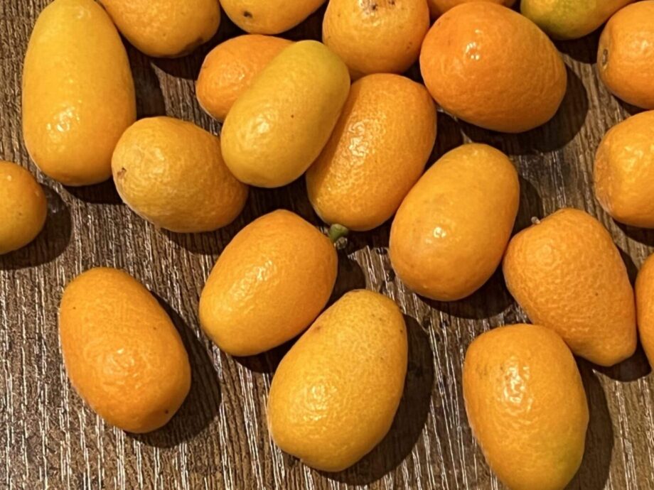 Kumquat Nagami