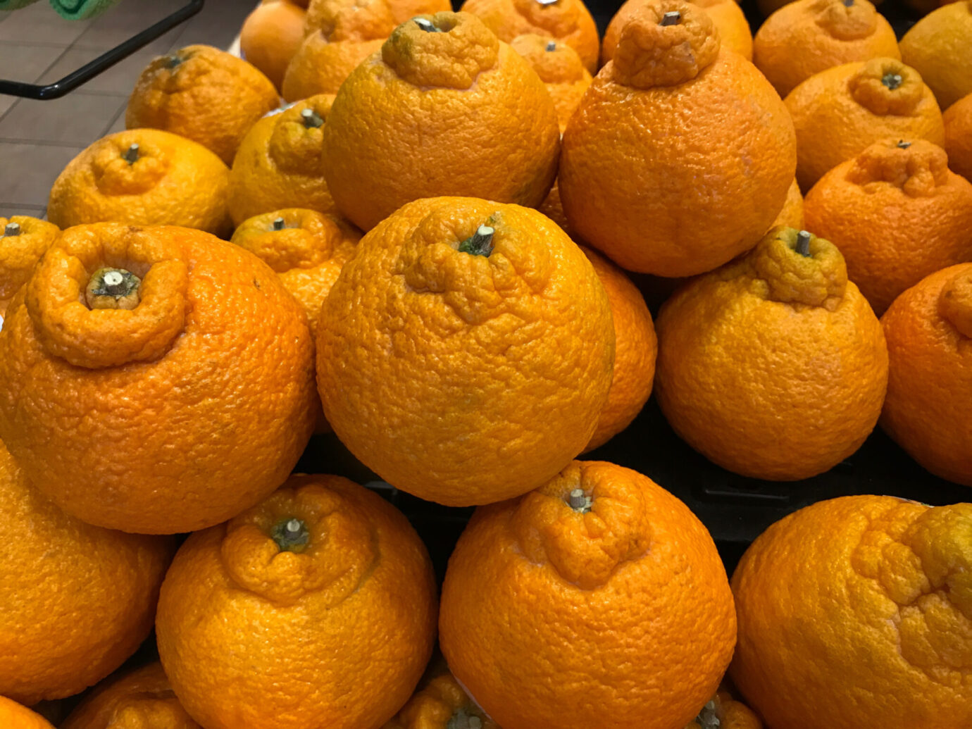 tangerine fruit in chinese