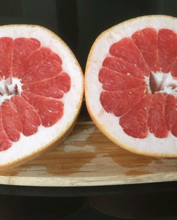 Red grapefruit