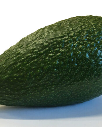 Pinkerton Avocado Fruit