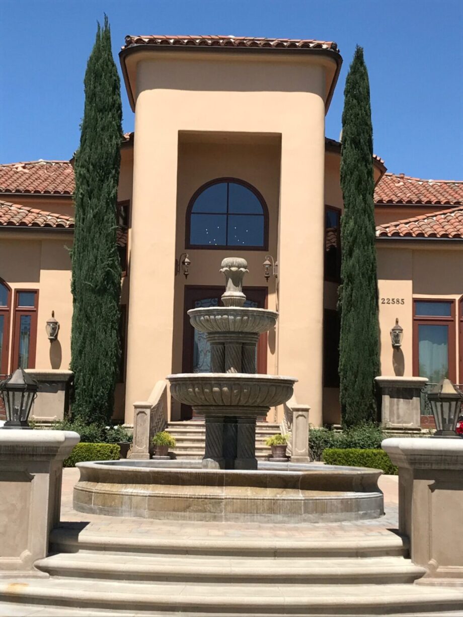 Italian cypress mature