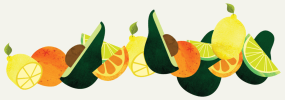 Citrus and Avocado Paradise Nursery Graphic